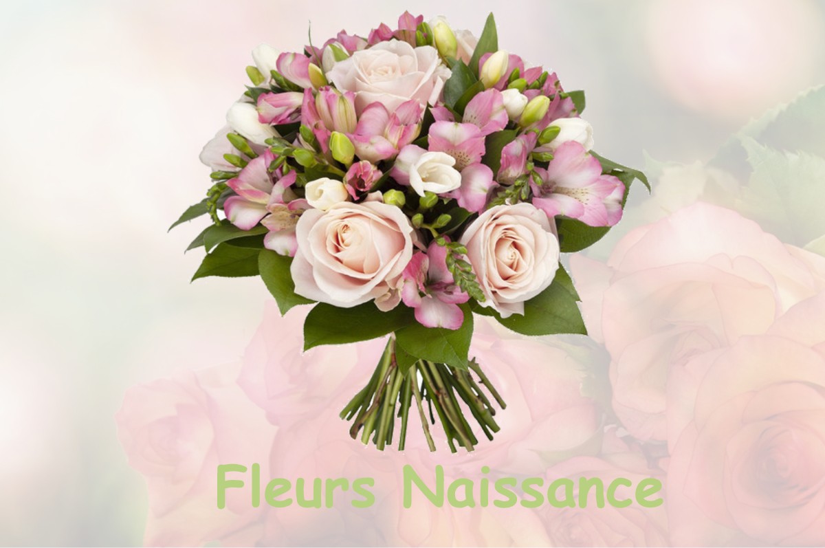 fleurs naissance SAINT-ANDRE-LE-GAZ