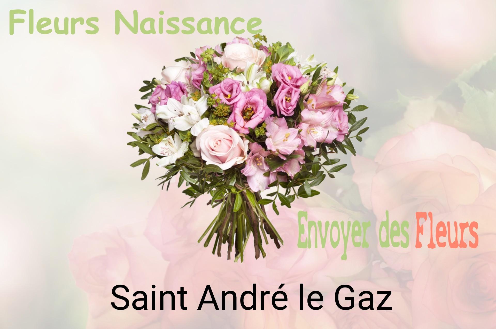 Bouquet de fleurs de naissance livré à Saint-André-le-Gaz