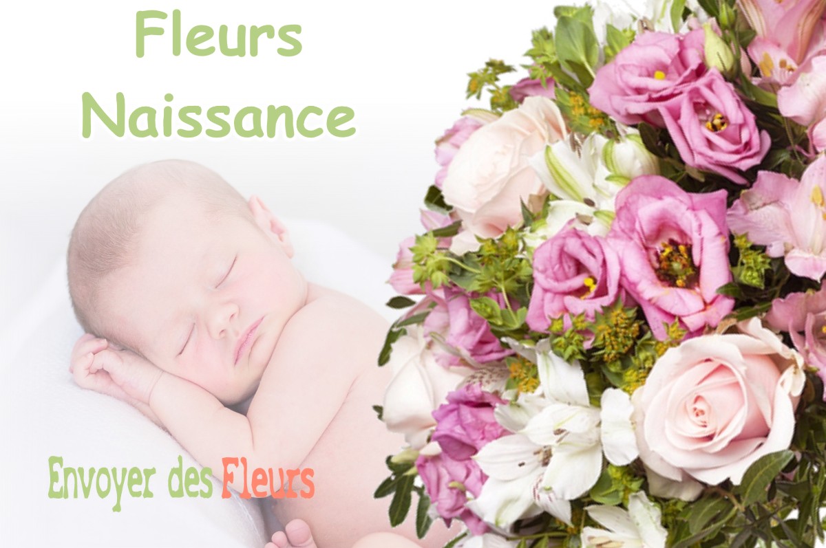 lIVRAISON FLEURS NAISSANCE à SAINT-ANDRE-LE-GAZ