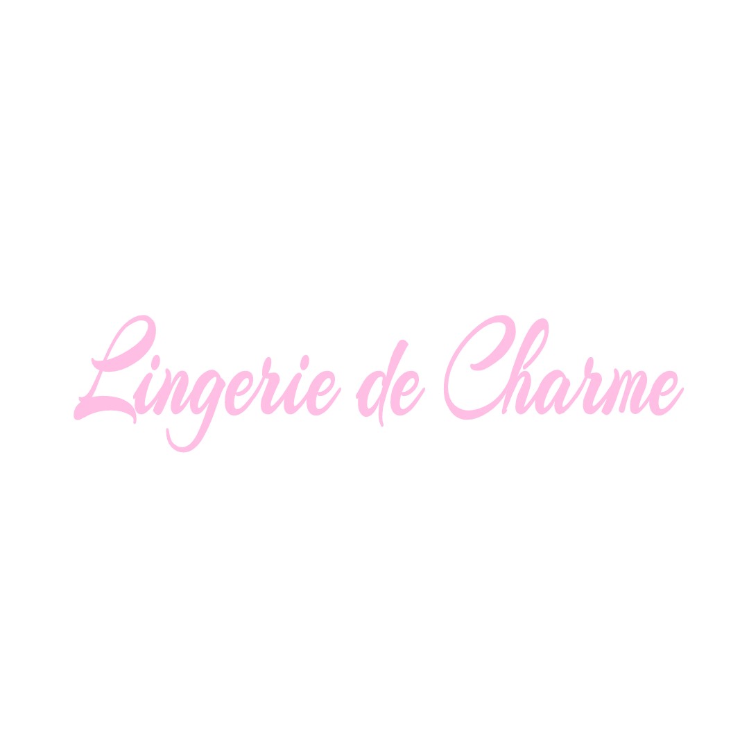 LINGERIE DE CHARME SAINT-ANDRE-LE-GAZ